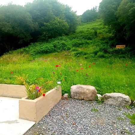 Donegal Cottage Donegal Town المظهر الخارجي الصورة