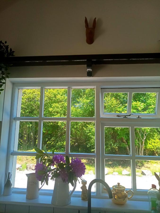 Donegal Cottage Donegal Town المظهر الخارجي الصورة